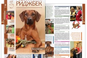 дизайн журнала о породе собак